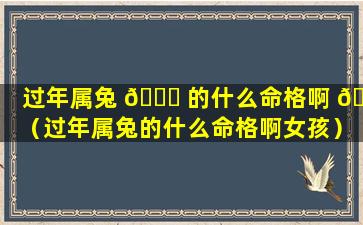 过年属兔 🐞 的什么命格啊 🦅 （过年属兔的什么命格啊女孩）